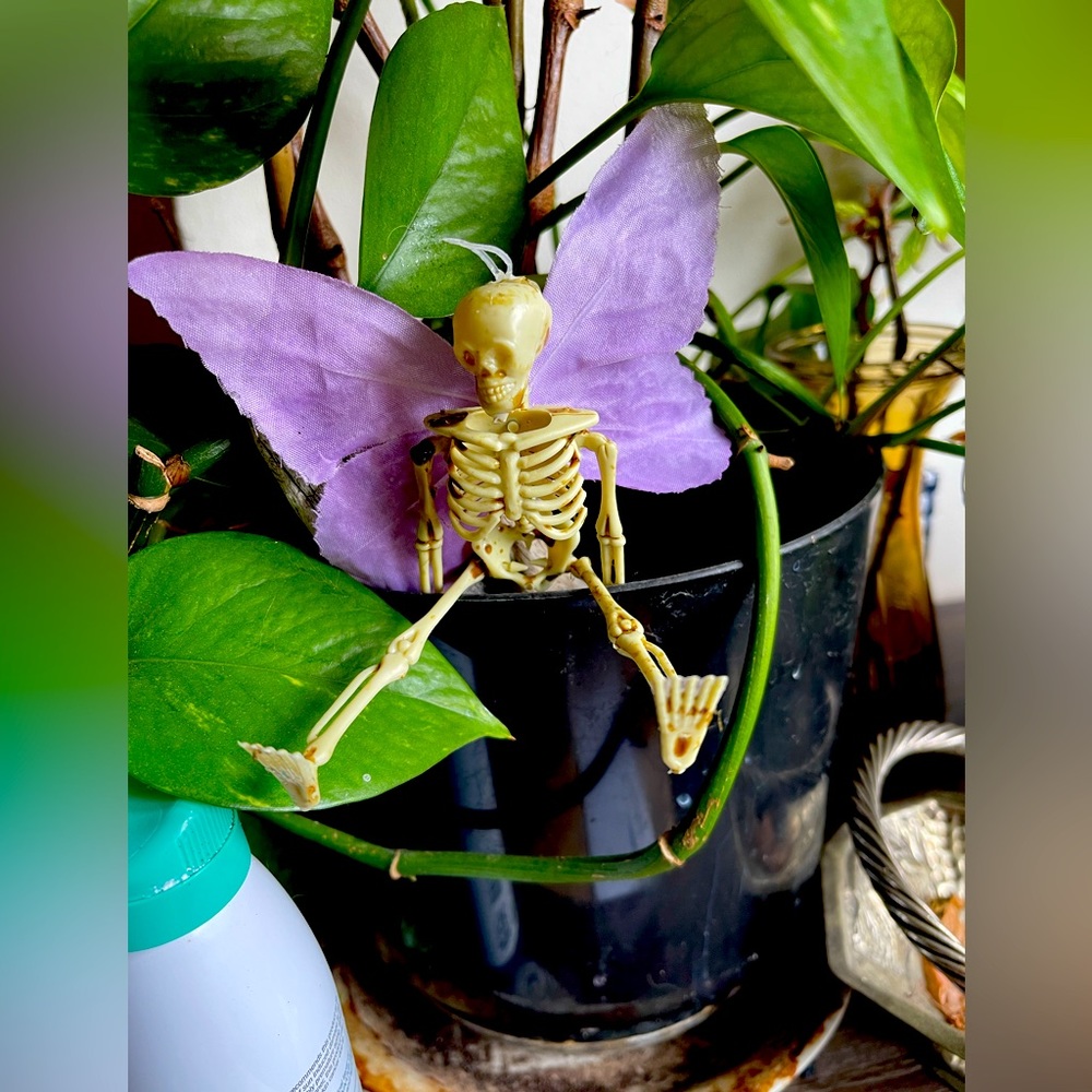 Dead fairies